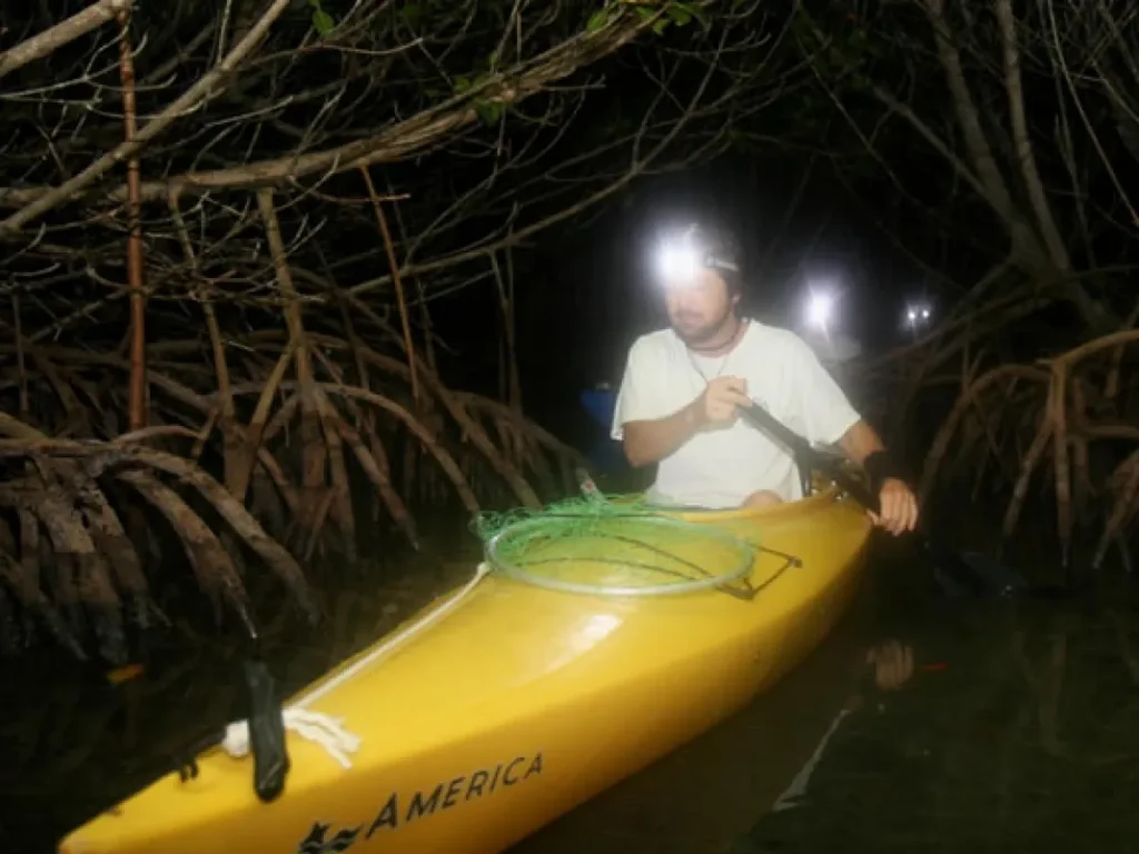 man kayaking through mangroves at night with a headlamp
