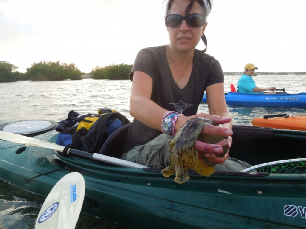 woman in a kayak holding a sea creature