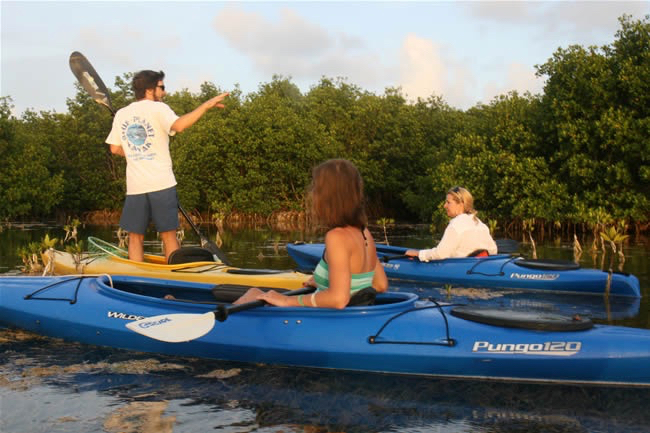 People kayaking on a calm river surrounded by greenery