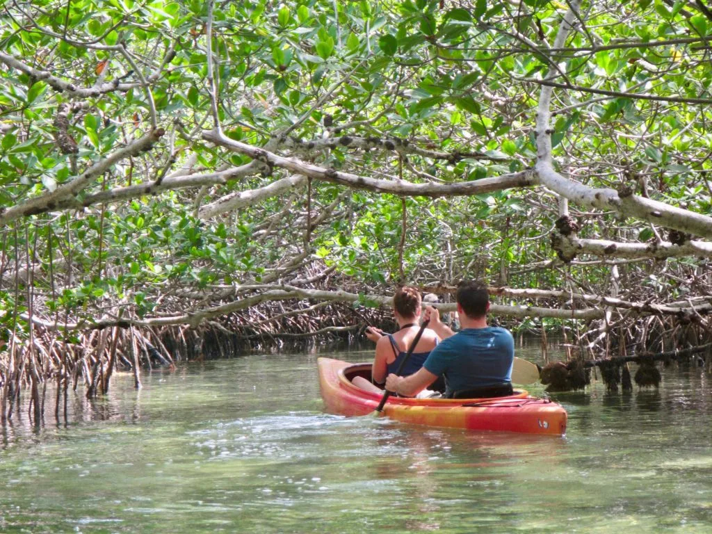 Kayak Tours in Key West