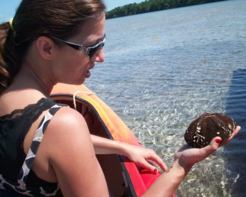 Woman holding a sea creature while kayaking in shallow water