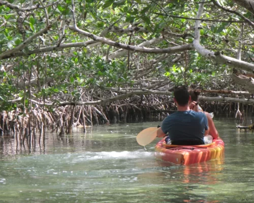 Key West Private Kayak Adventure – Exclusive Eco Adventure