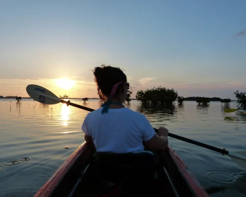 Person kayaking at sunset on calm water with scenic view