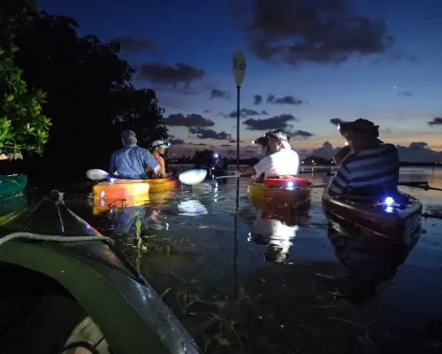 Group kayaking adventure during serene evening on calm waters